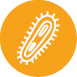 Bacteria Protection for Hospital